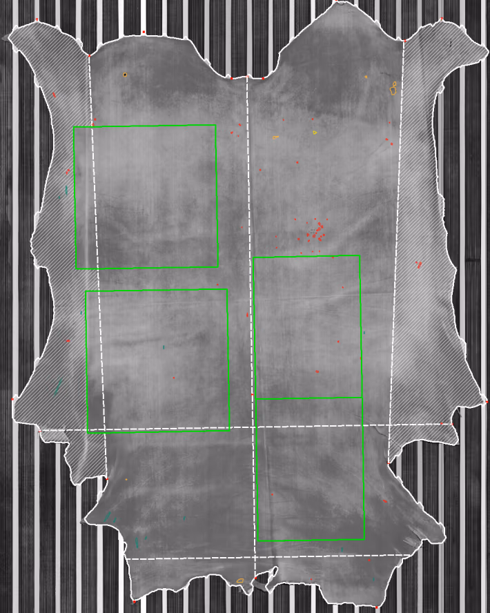 Side grading: the hide split along the backbone, each half graded on its own