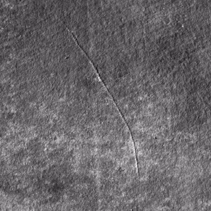 Bumpy scar on wet blue