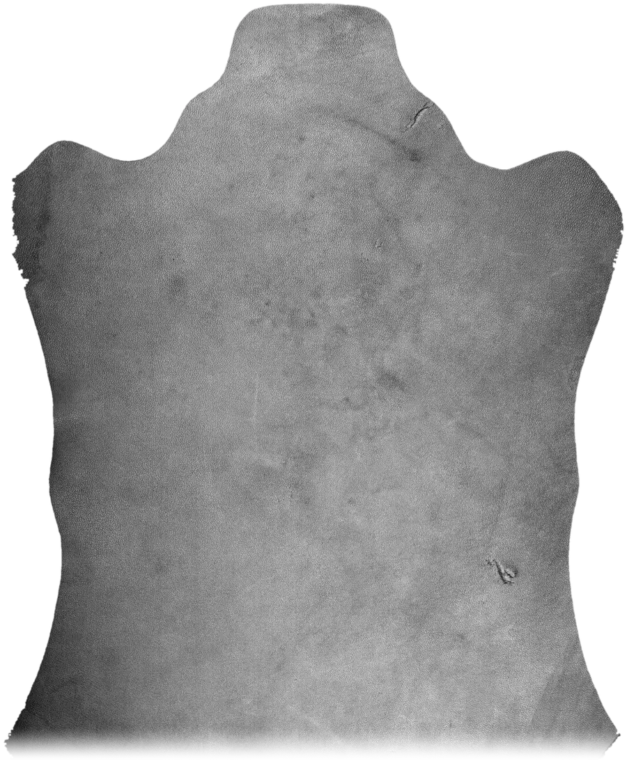 Scan of a leather sample, every detection outlined